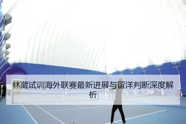 林葳试训海外联赛最新进展与留洋判断深度解析